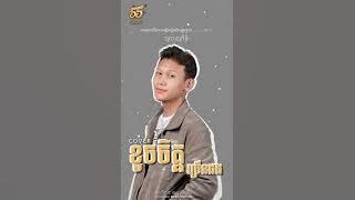 ខូចចិត្តច្រេីនដង​ Cover(Khoch Chet Jrern Dong) Thol Sophitik ថុល​ សុភិទិ