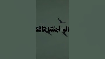 الشيخ محمد ايوب رحمه الله/ سورة الاحقاف