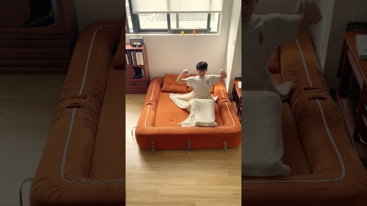 Modern sleeper sofa bed 