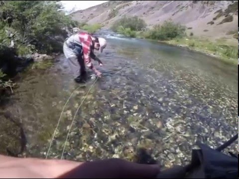 Pesca con Mosca Sur de Chile