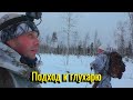 Потревожили росомаху. Подход к глухарю.