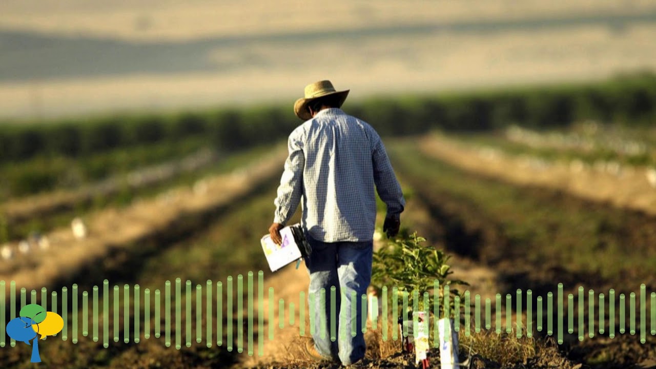 Cesar Chavez discusses Farm Labor Rights with Studs Terkel (Jun. 4, 1973)