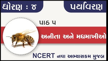 Std 4 Paryavaran ch 5 anita ane madhmakhio  | standard 4 paryavaran chapter 5 |  std 5 evs ch 5