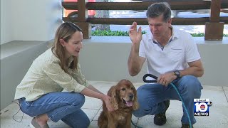 Fort Lauderdale’s Animal Cancer Care Clinic gives pets a second chance in life