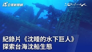 紀錄片《沈睡的水下巨人》 探索台海沈船生態【涉己新聞】｜20240322 公視晚間新聞