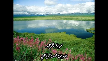 سورة الرعد بصوت محمد الرفاعي