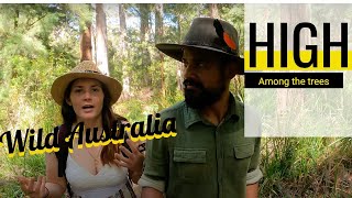 75 Km High Tree Top Walk in Walpole, Faces in Trees, Microbats and Food Comas | Day 2 Australia Trip