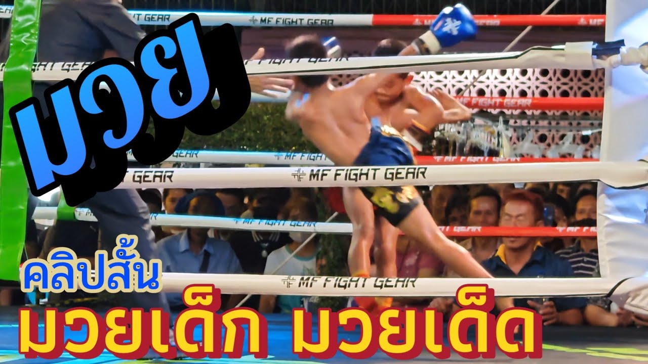 Kids' boxing, exciting boxing matches, short clips, King Taksin Memorial Day event. 
