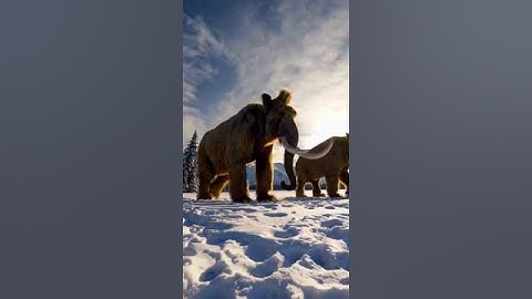 AI Generated ORIGINAL PROMPT Batch (Re-used the original prompts, as different variations)