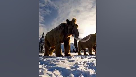 AI Generated ORIGINAL PROMPT Batch (Re-used the original prompts, as different variations)