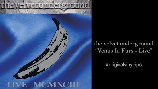 Velvet Underground - Venus in Furs (Live MCMXCIII)