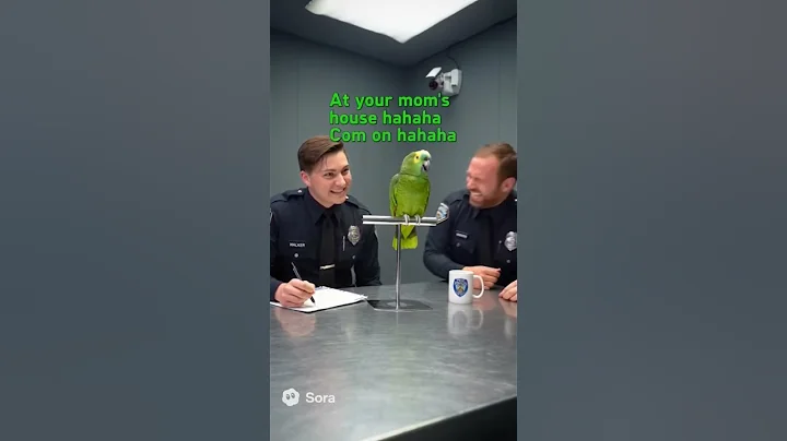 Funny Talking Parrot Roasting Cop's like Pro 😂🙏 #funny #talkingparrot #parrot #pets #ai #sora2