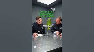 Funny Talking Parrot Roasting Cop