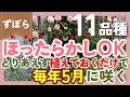 【ほったらかし】植えるだけで毎年5月に咲く植物💐11品種紹介！ずぼらガーデニングの花壇で大活躍‼️【ガーデニング】【園芸】