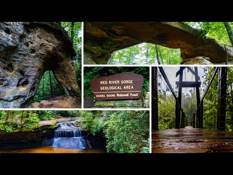 Video: Daniel Boone National Forest: Den komplette guide