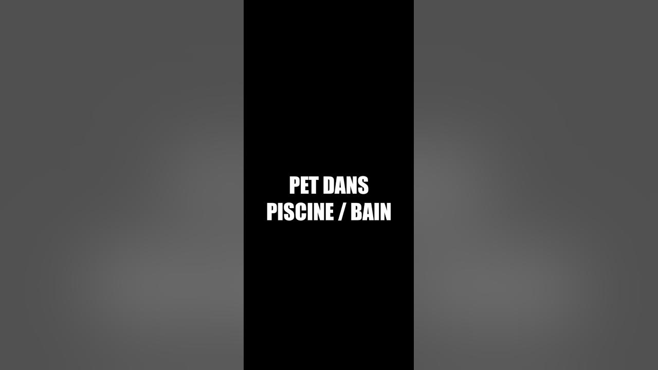 Bruit de pet Parfait