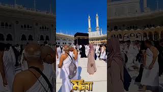 পাপের বোঝা ভাইরাল গজল #ভাইরাল #ভাইরাল #banglagojol #whowillbemylifepartnerta #kalarab #নতুন_গজল