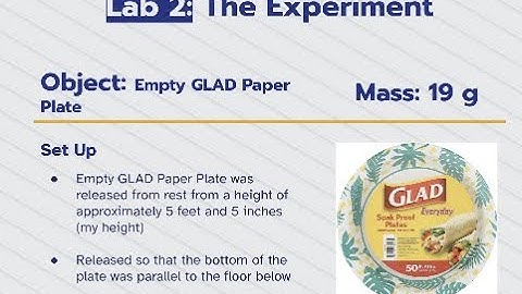 Lab 2: Motion of a Falling Object