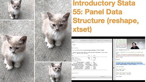 Introductory Stata 55: Panel Data Structure (reshape, xtset)