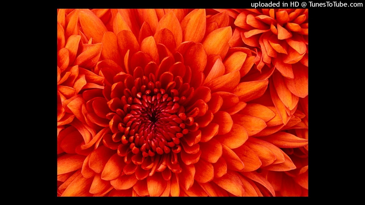 dougie b x kay flock x b lovee - brotherly love (official instrumental)