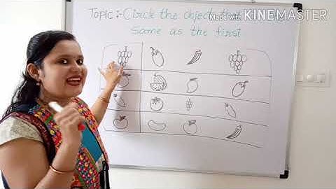 Circle the same object |for Lkg|