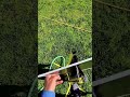 Window Screen Cleaning Service in Aurora, Newmarket, King & Bradford | Mayfair Home Cleaning