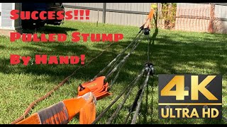 #7 Pulling Stumps With Snatch Blocks By Hand! 50:1 Mechanical Advantage Needed [4K 60FPS]