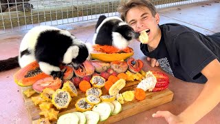 FEEDING MY ANIMALS THE MOST EXPENSIVE FRUIT IN THE WORLD !