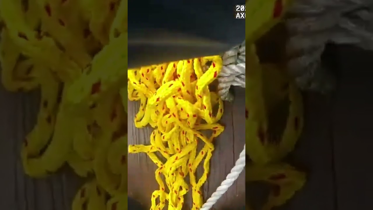 WATCH: Police rescue teen who attempted to save his friend in frozen creek