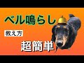 【犬の一発芸】ベル鳴らしての教え方　すぐに覚える！