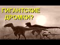 Дромеозавриды-гиганты: возможно ли их существование?