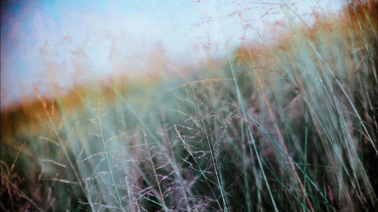 Yusuke Tsutsumi - Quiet Morning (Perfect Lonely Boy Theme)