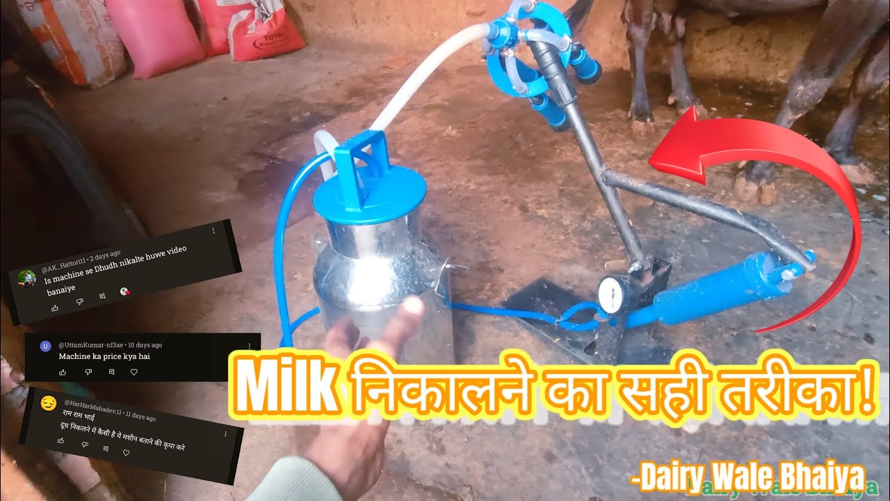 Milking Machine का सही इस्तेमाल | दूध निकालने की पूरी प्रक्रिया Explained! #dairyfarm #cow
