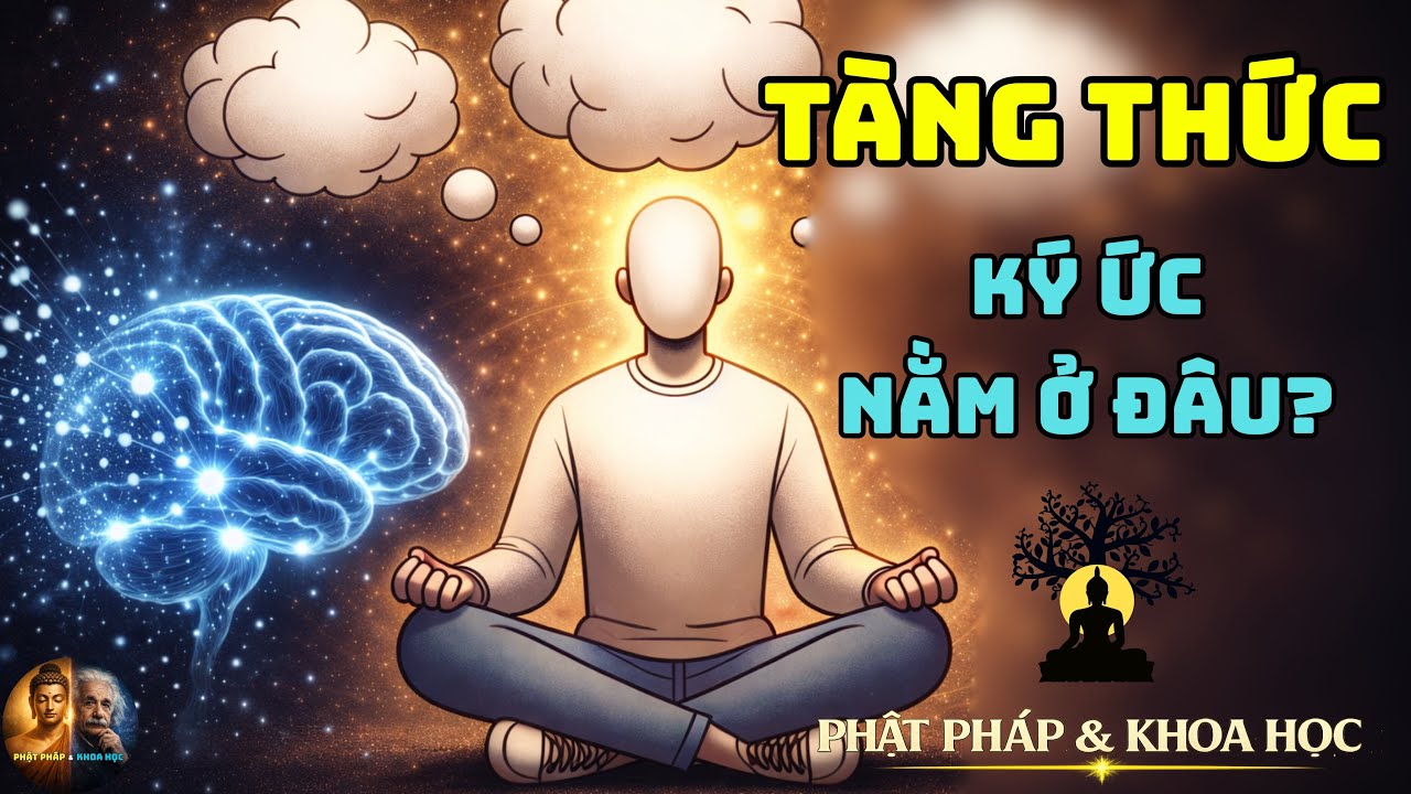 A-LẠI-DA-THỨC & TRÍ NHỚ NÃO BỘ – Ký Ức Thật Sự Được Lưu Trữ Ở Đâu?