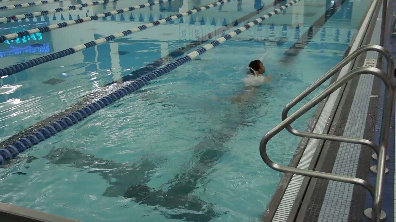 Barracuda's Swim Tryouts