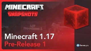Minecraft 1.17 Pre-Release 1 - Server.pro