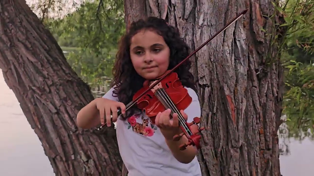 lovely - Billie Eilish & Khalid -Violin Cover.