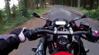 Ninja 250 SL 舗装林道 峠道