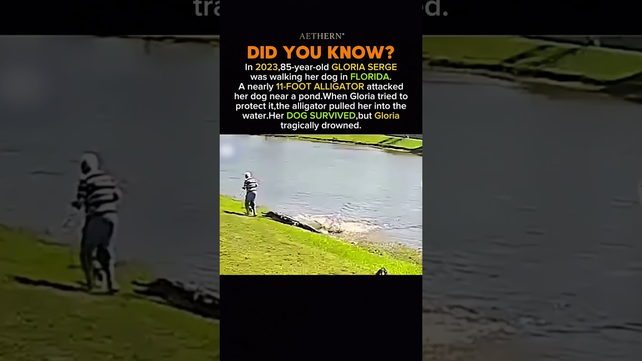 An 85-Year-Old Woman Was Pulled Into a Florida Pond #history #facts