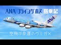 【ANA】世界最大の飛行機　エアバスA380 フライングホヌチャーターフライトを体験して来た@エコノミークラス