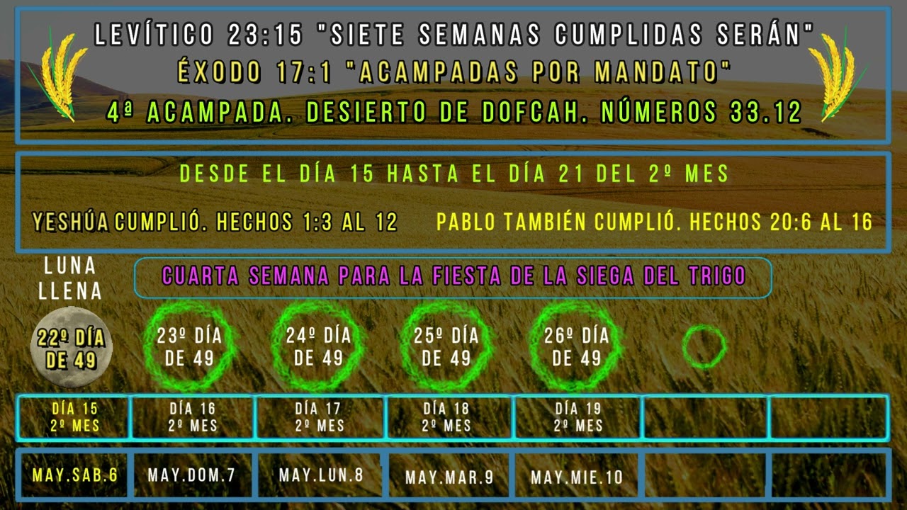 4ªsemana de las “7 semanas completas” Lev.