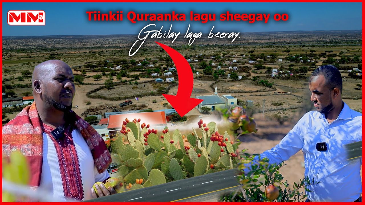 Tiinkii Alle ku dhaartay Quraankana uu ku sheegay oo Gabilay laga beeray.