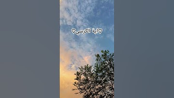 #قران_كريم #المصحف #تلاوة #لايك #قرآن #آية_الكرسي