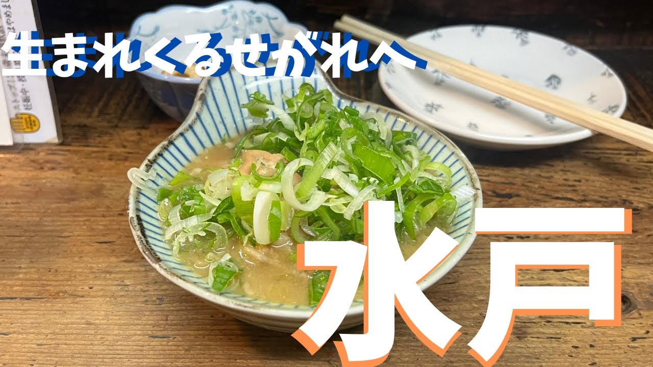 せがれよ！これが水戸だ！プレパパ最後の一人旅