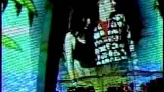 U2 Concert Experience - On Tour With Diane Ele