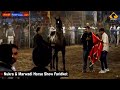 Horse Show Faridkot