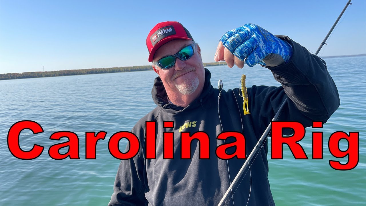 Veteran Pro Angler Mark Davis says you NEED to Take Another Look at the  Carolina RIG!! 