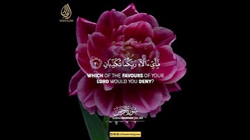 Surah Ar-Rahman | Ayah 29-32 | سورة الرحمن   #quran #rahman