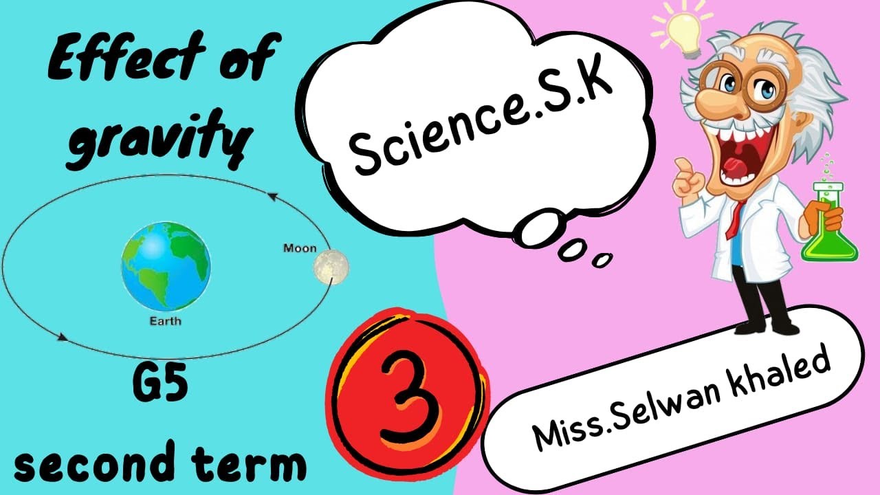 Grade 5 | SCIENCE| Effect of gravity | Unit 4 - Concept 1 -2024 - YouTube