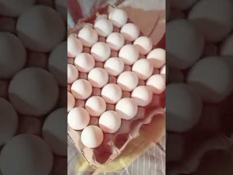 Y T Short U Tube Short